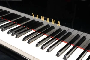 Popjazz salin flyygeli kopio